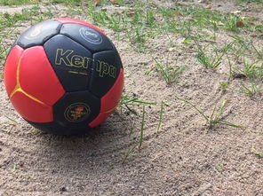 乐鱼（中国）体育官方网站-“沙滩赛场燃爆天府新区，沙滩手球和合球上演极限对决”