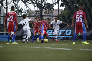 乐鱼官方登录入口-中国足球青训体系创新培训模式和方法，中国足球青训营都有哪些