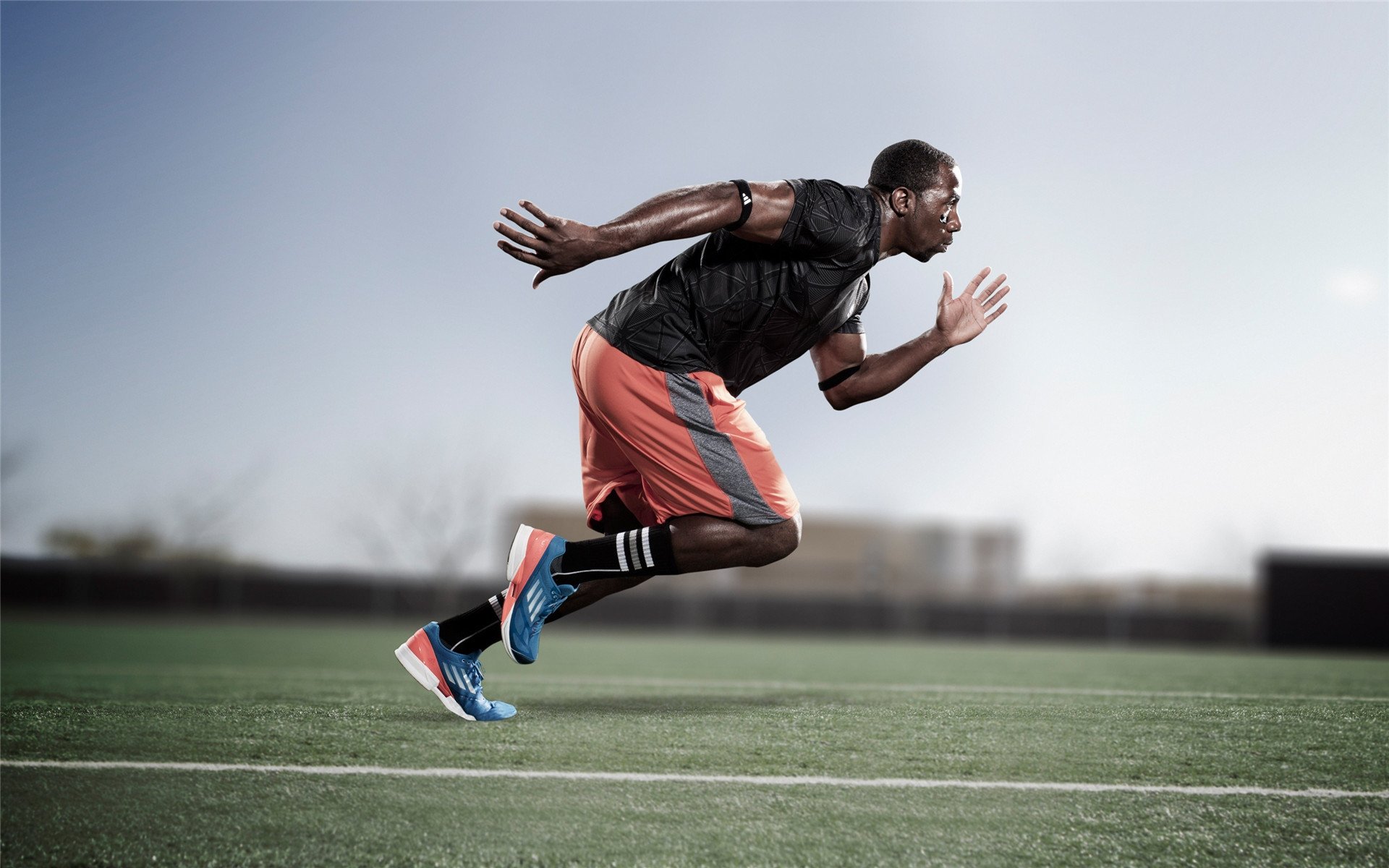 停购令下的中美农业贸易博弈,中美农业协定