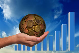 乐鱼娱乐app-揭秘险资青睐高股息股票的真正原因，险资持股的股票好不好